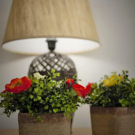 Casa Do Professor البرغاريا-ا-فلهه