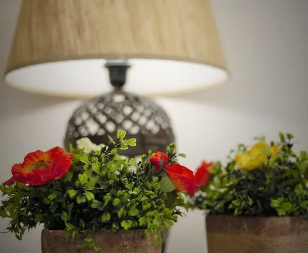 Casa Do Professor Albergaria-a-Velha